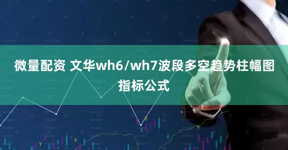 微量配资 文华wh6/wh7波段多空趋势柱幅图指标公式